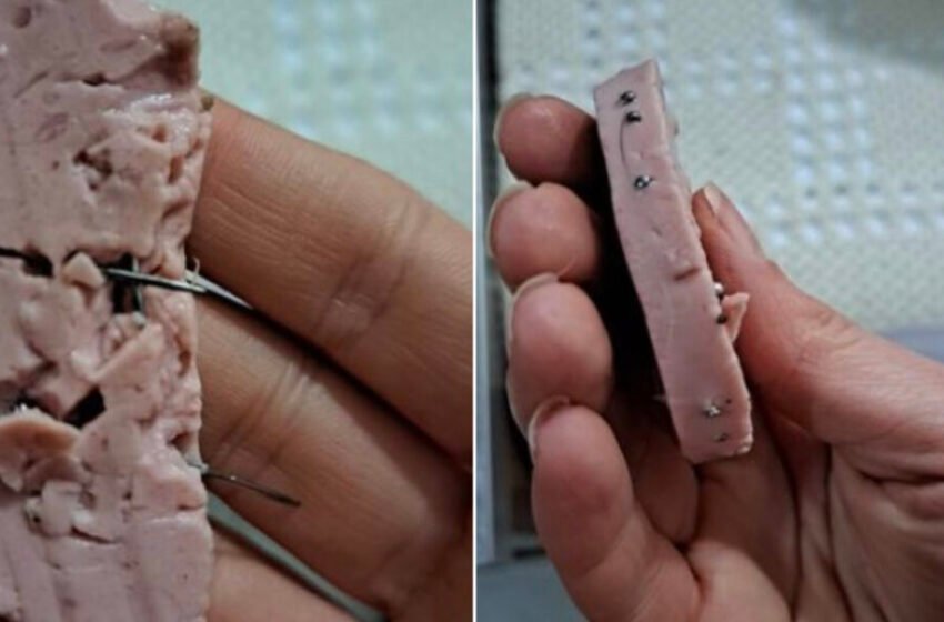  “Monstra gjendet mes nesh”: Një vajzë publikon foto të sallamës të shpuar me gozhda, i lënë për ti mbytur kafshët
