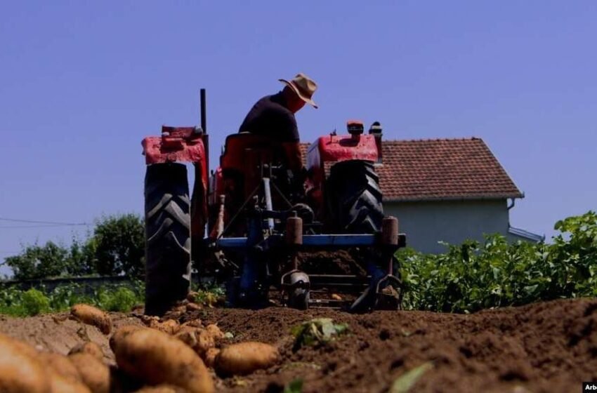 Temperaturat, ndikim ndaj prodhimeve bujqësore në Maqedoni