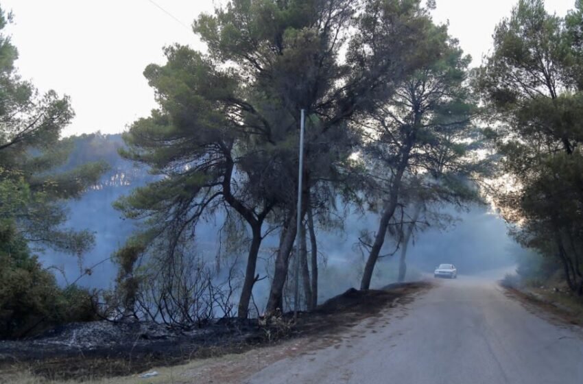  Zjarr masiv në kodrat e Peshtanit të Shqipërisë, zjarrfikësit po hasin në vështirësi