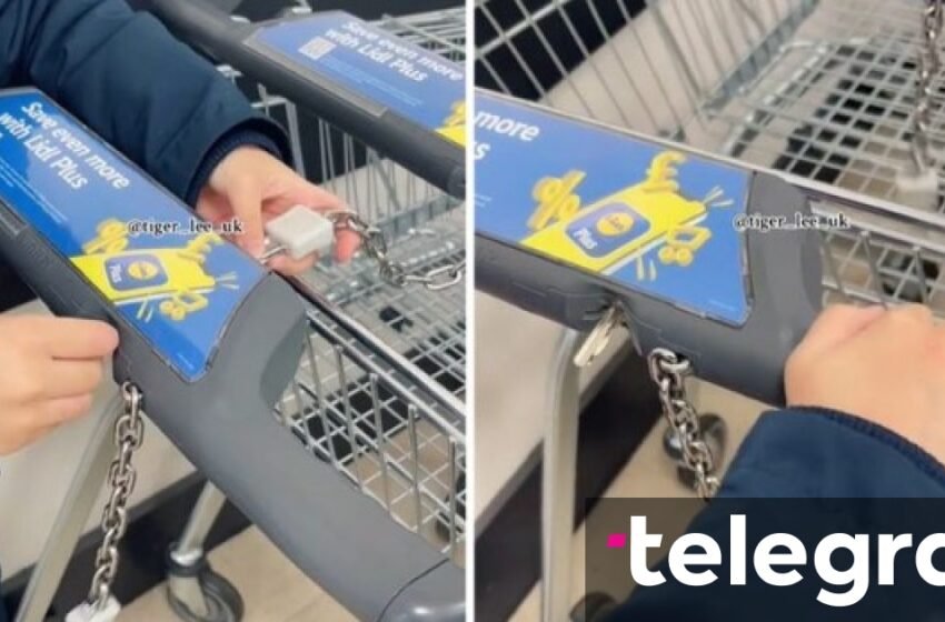  Me këtë truk, ju mund ta merrni karrocën e supermarketeve pa monedha