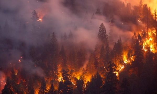 Janë regjistruar 13 zjarre në ambient të hapur në Maqedoninë e Veriut