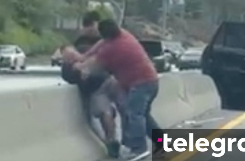 “Ata as nuk dinin të luftonin”: Përleshje mes tre burrave pas një aksidenti në një autostradë të ngarkuar të Los Anxhelosit