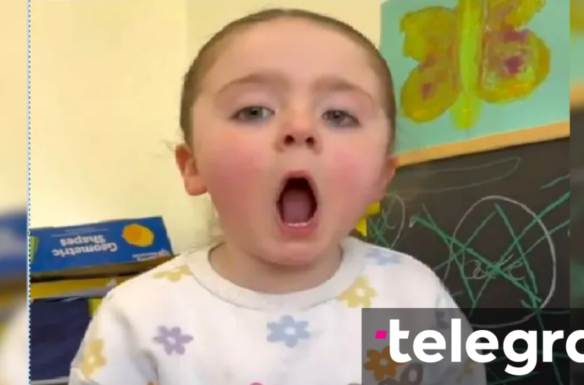 Imitimi perfekt i luanit nga vogëlushja befason përdoruesit e rrjeteve sociale