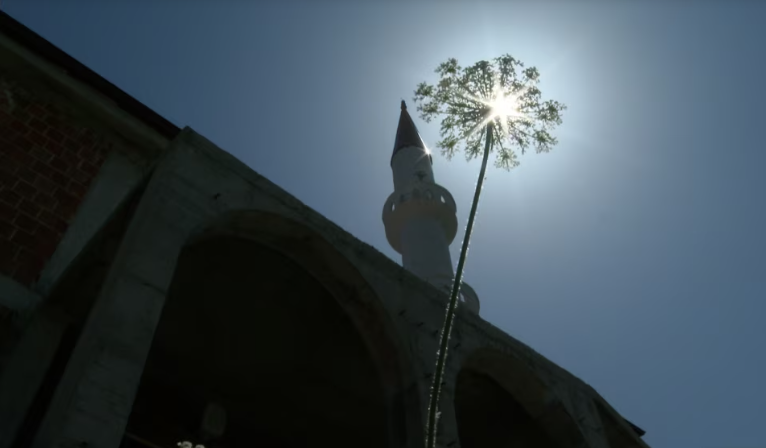  Ja në sa ora do të falet namazi Fitër Bajramit