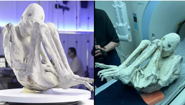  Ufologu që testoi ADN-në e ‘mumjeve aliene’ thotë se zbulimi i tij ‘ndryshon kursin e historisë’