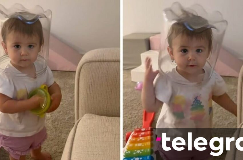 Një vajzë e vogël vendosi një kuti në kokë, ajo që ndodhi më pas bëri të qeshin miliona njerëz