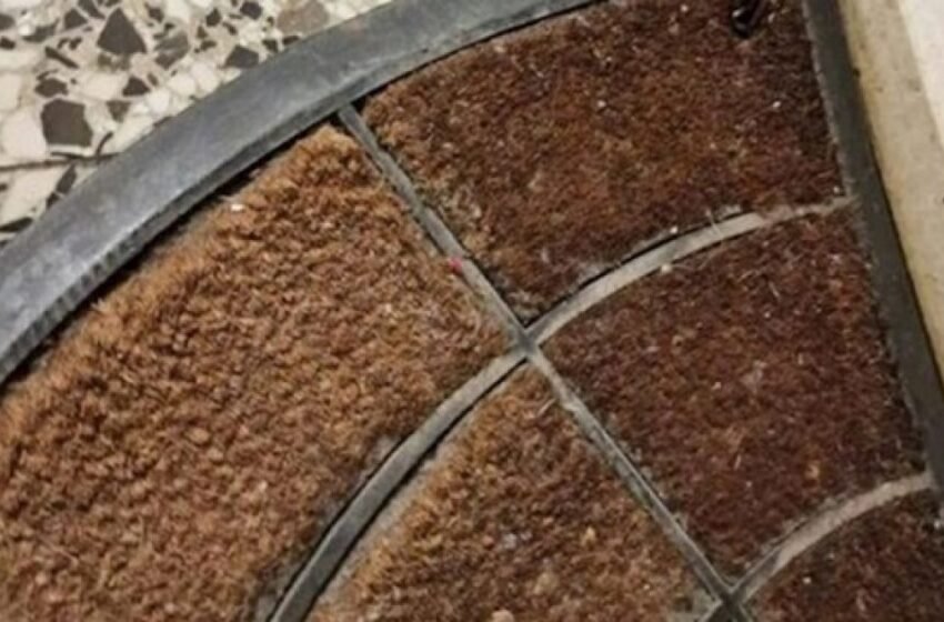  Një foto e një qilimi në Kroaci ka shkaktuar bujë të madhe në rrjetet sociale