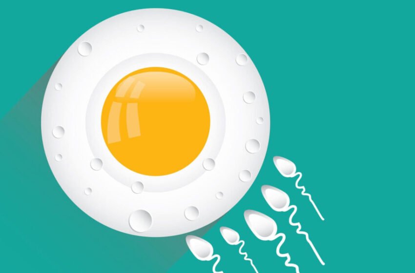  Pse infertiliteti mashkullor është problem në rritje?