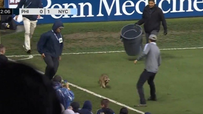  Rakuni ndërpret ndeshjen e futbollit në SHBA