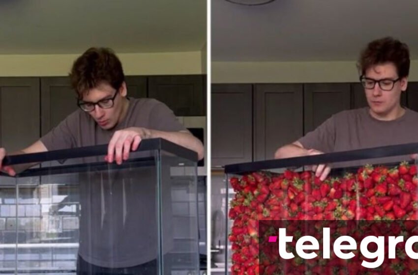  Ka ngrënë 100 kilogramë dredhëza: Gjithçka filmoi, por shkaku i një detaji shumëkush nuk po i beson