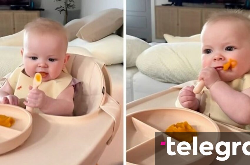  Mbi 2.8 milionë shikime – foshnja provon për herë të parë puren e patateve