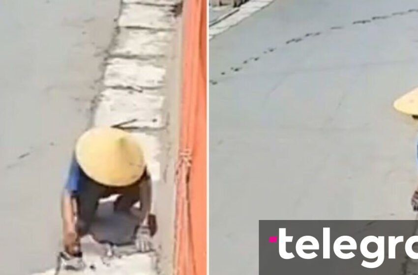  Mjeshtri sapo kishte mbaruar një punë të madhe, por gjithçka i shkoi dëm shkaku i qenit