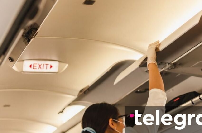  Stjuardesa mbeti e shtangur kur pa se çfarë fshihej në bagazhin e brendshëm të aeroplanit