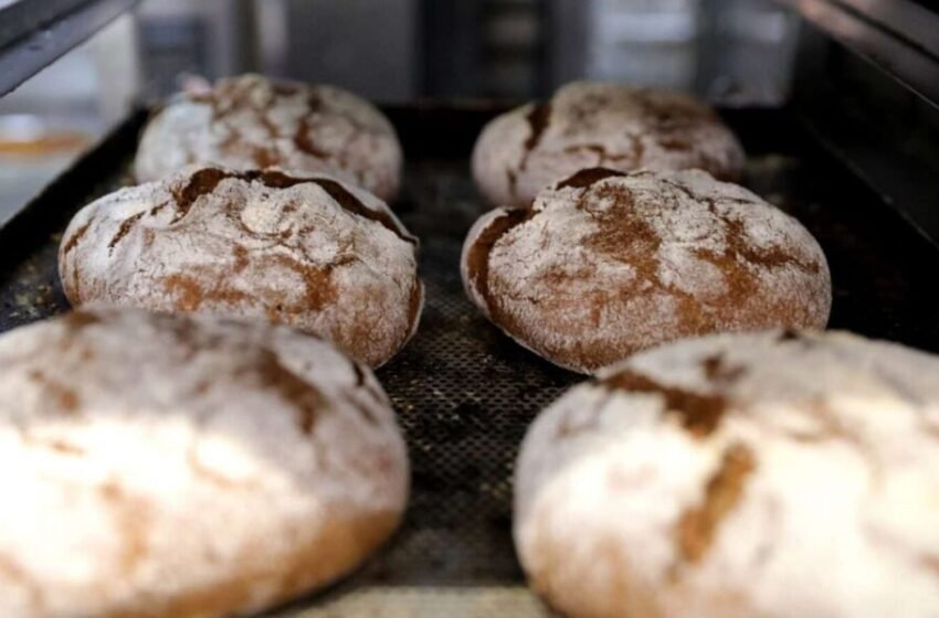  Çmimi i bukës për momentin nuk do të ndryshojë, furrat kanë probleme me ikjen e fuqisë punëtore