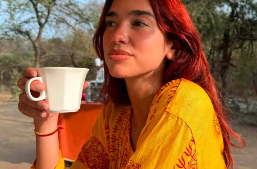 Doli në mbrojte të Gazës, Dua Lipa: Është vendim i madh, jam përgatitur të marr goditje