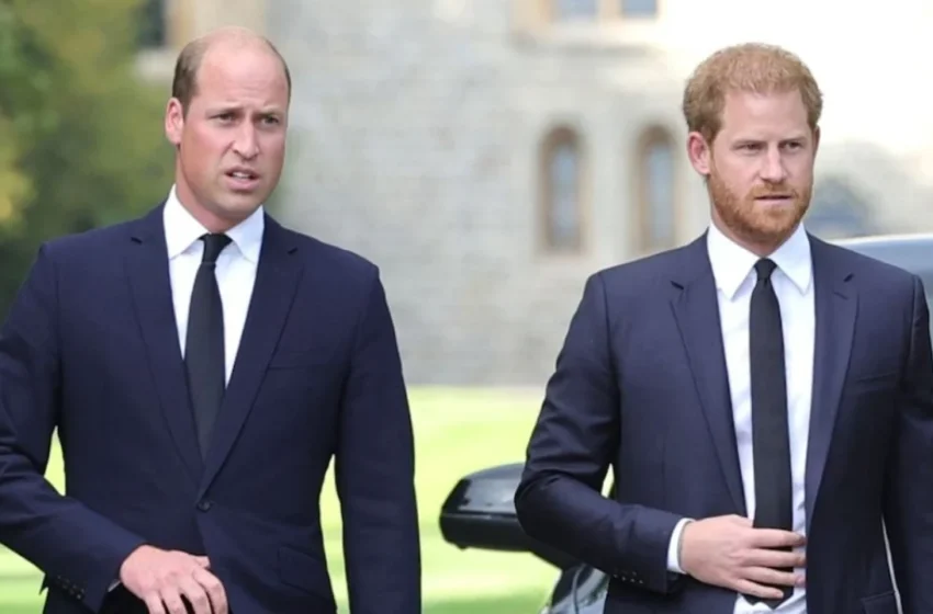  Ç’ndodhi? Princi William ndalon Harry-n të kthehet në familjen mbretërore!