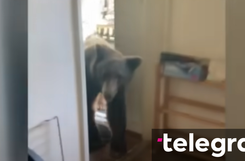  Ariu ia bën “një vizitë të papritur” një burri në Kaliforni