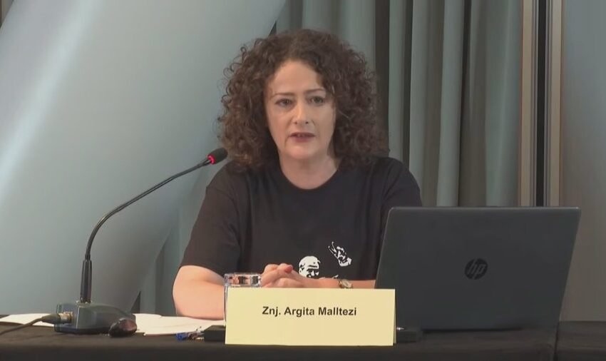  “Me kë e keni luftën Argita? Kjo ju vjen nga SHBA…”/ Çani përplaset me Malltezin: Berisha s’lejon që një i huaj të caktojë opozitën