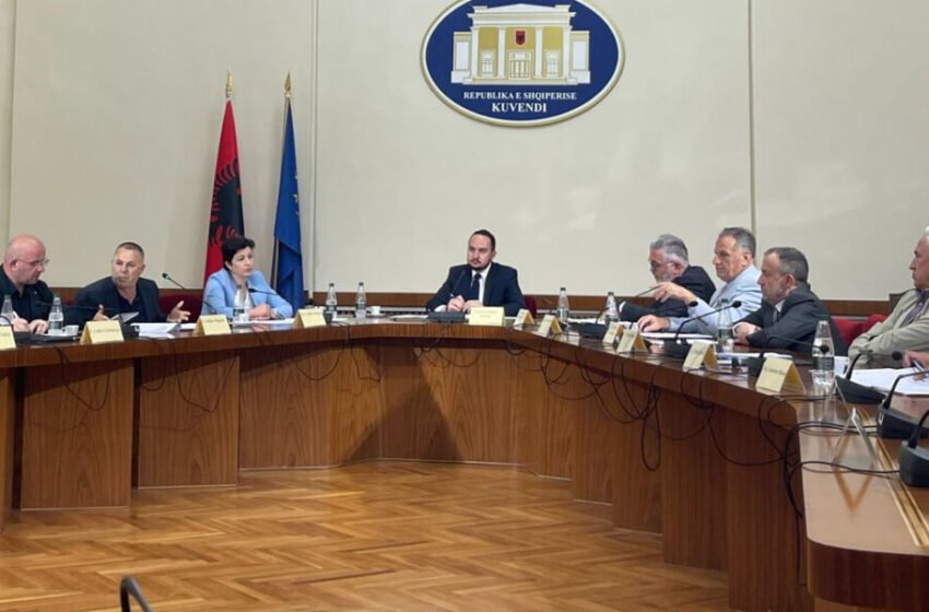  Emrat/ Nga drejtoresha e SHISH, tek Ardi Veliu dhe kreu i AMP, ja kush do dëshmojë në Komisionin Hetimor për sistemin TIMS më 2 korrik