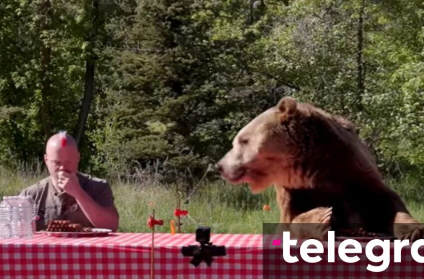  Dueli më i çmendur në Britani – Kush do të hajë më shpejt 75 hot dog, një burrë apo një ari i madh i thinjur