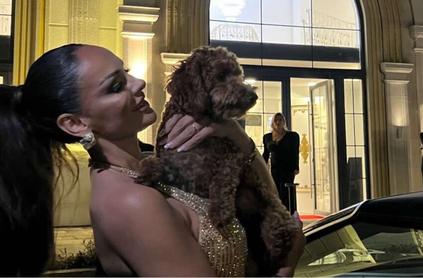  Xhuli shkoi me qenin e saj në një dasmë mbrëmë