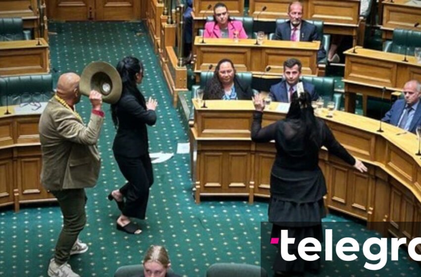 Vallëzim interesant në shenjë proteste në parlamentin e Zelandës së Re