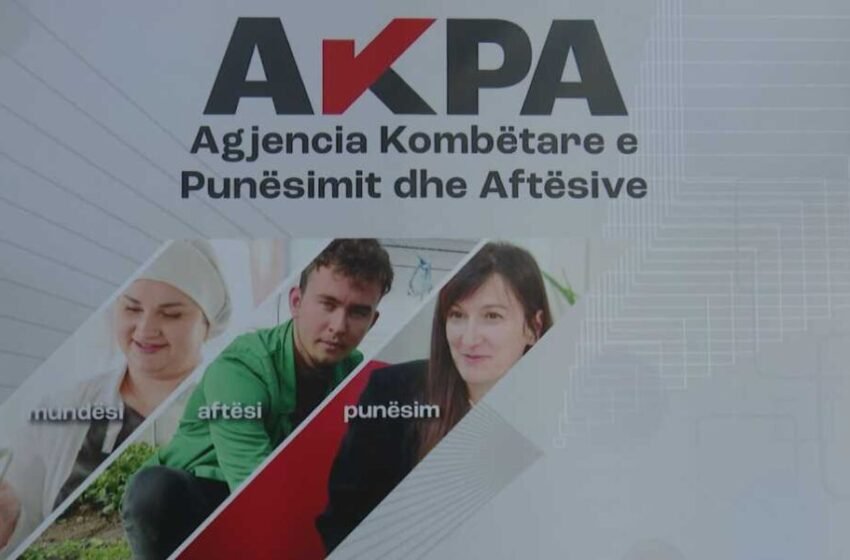  5400 vende të lira pune, në cilat fusha dhe qytete dominojnë më shumë kërkesat?