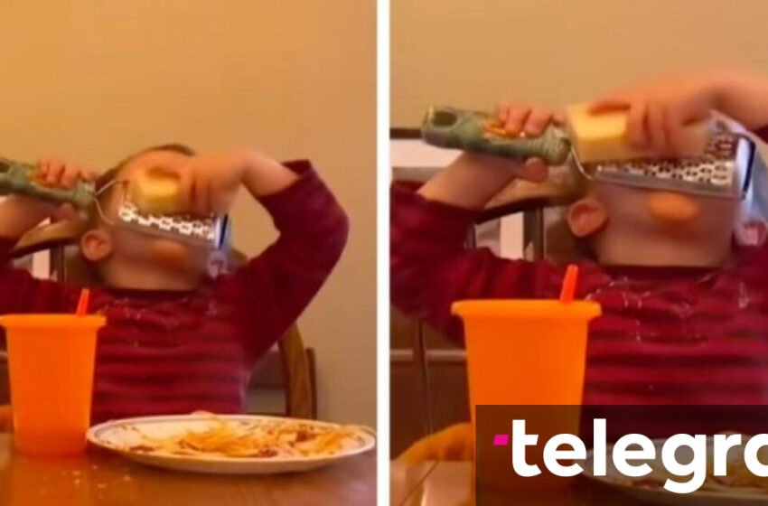 Nëna filmoi mënyrën qesharake se si djali i saj ha djathë – videoja bëri të qeshnin shumë njerëz