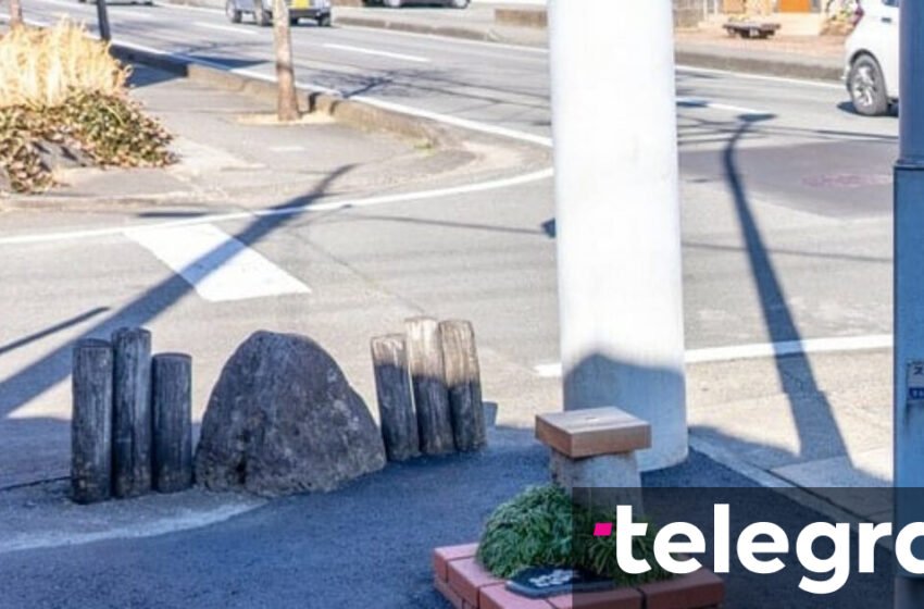 Parku më i vogël në botë ka vetëm 0,24 metra katrorë