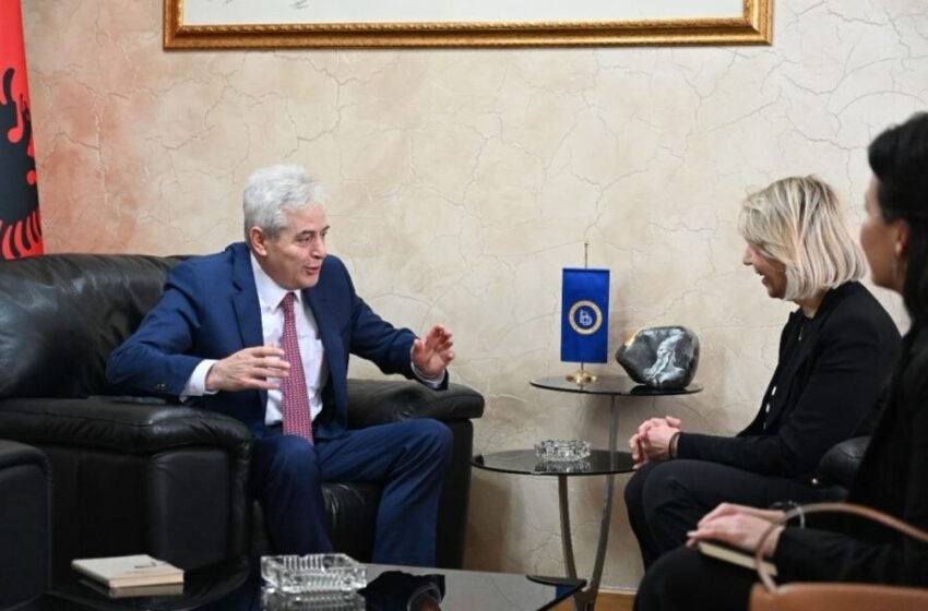 Ahmeti priti në takim ambasadoren kroate, Tiganj
