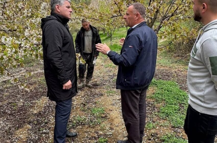 Bexheti: Ministria e Bujqësisë është e përkushtuar të qëndrojë pranë fermerëve