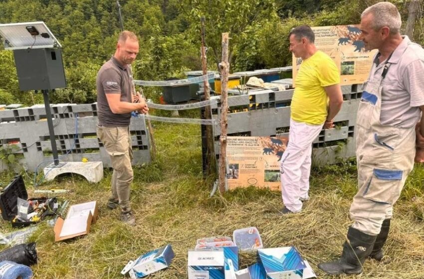 Ministria e Mjedisit instaloi gardhe elektrike për të mbrojtur blegtorët dhe bletarët në Malin e Sharrit