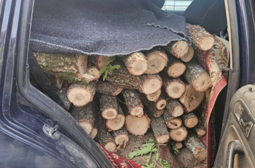 Dyshohet se transportonin dru pa dokumentacion përkatës, arrestohen dy banorë të Bllacës