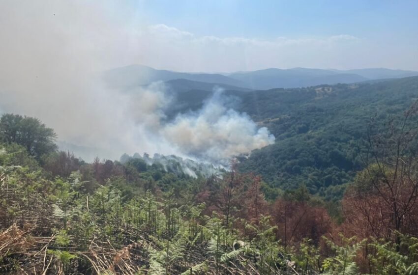  Kosovë/ 87 vatra zjarri sot, tetë ende aktive- 79 u lokalizuan