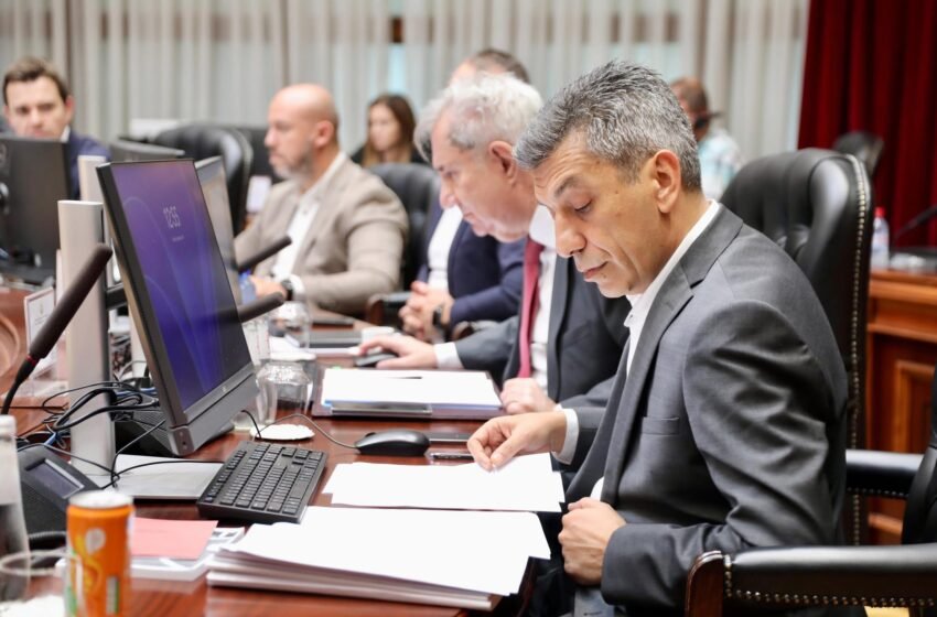  Mexhiti:Qeveria ndau  parcelën 31 mijë m² për kampusin 40 milionë € të UNT-së në Shkup