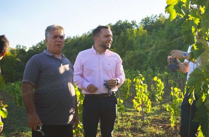  Ramadani: Bojana, zemra e bujqësisë dhe turizmit në Saraj