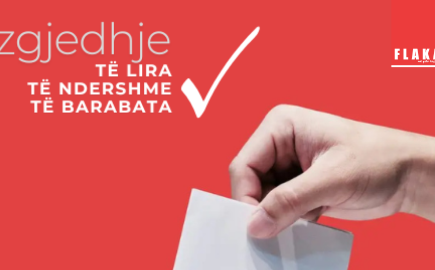  Gostivar dhe Vrapçishti: “VERDE VITA”, monitoron përdorimin e burimeve shtetërore gjatë zgjedhjeve
