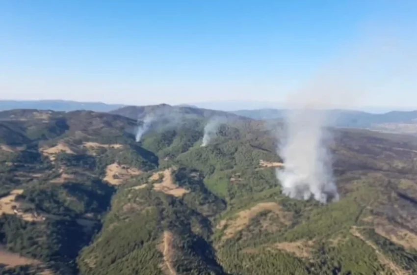  Zjarret në Maqedoninë e Veriut shkatërrojnë mbi 17 mijë hektarë pyje – humbje prej 275 mijë metër kub druri
