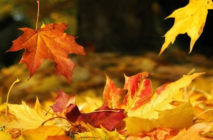  Moti sot në Maqedoninë e Veriut