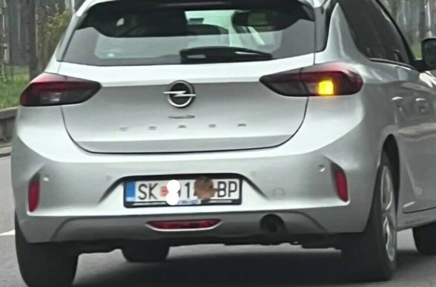  Shkupjan “kreativ” mbulon targën me gjethe për ti shpëtuar kamerave të Safe City