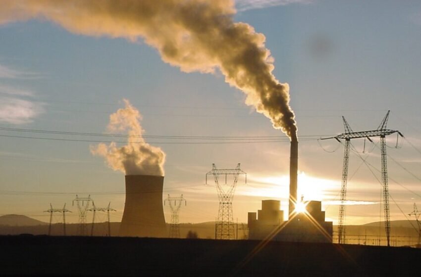  Zyrtarja e LDK-së: Bie blloku B1 prapë, ditë feste për Vuk Hamoviq e Martin Berishaj