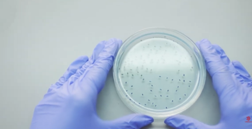  VIDEO  Gjobë prej 2 450 euro për operatorin e ushqimit