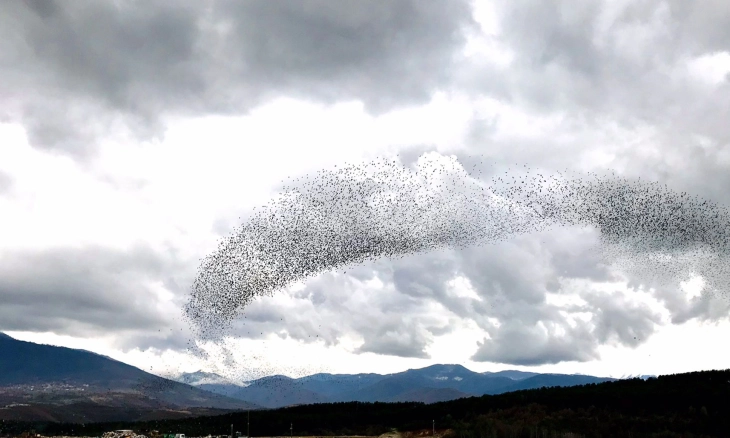 Në mëngjes mjegull  pastaj shi i përkohshëm dhe borë