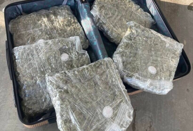  Arrestohet një 31-vjeçar nga Kumanova, në automjet i gjenden mbi pesë kilogramë marihuanë