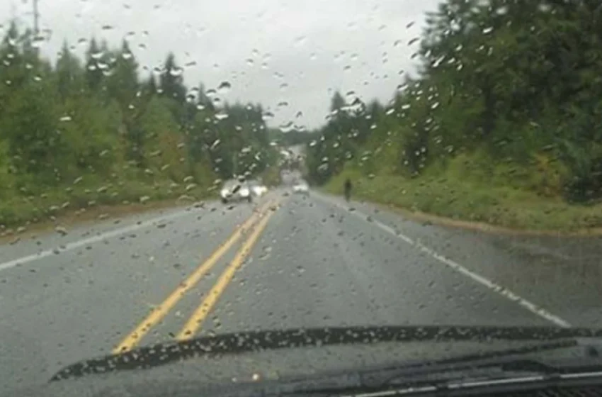  LAMM: Komunikacioni zhvillohet pa probleme mirëpo në rrugë me lagështi