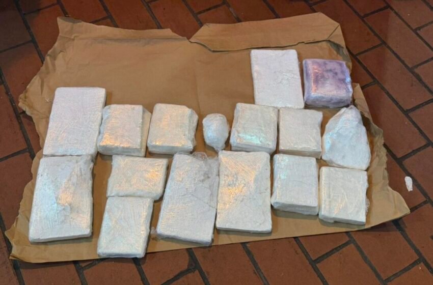  Është arrestuar një 26 vjeçar, u kap me 10 kilogram kokainë në fshatin Koliçan të Shkupit (VIDEO)