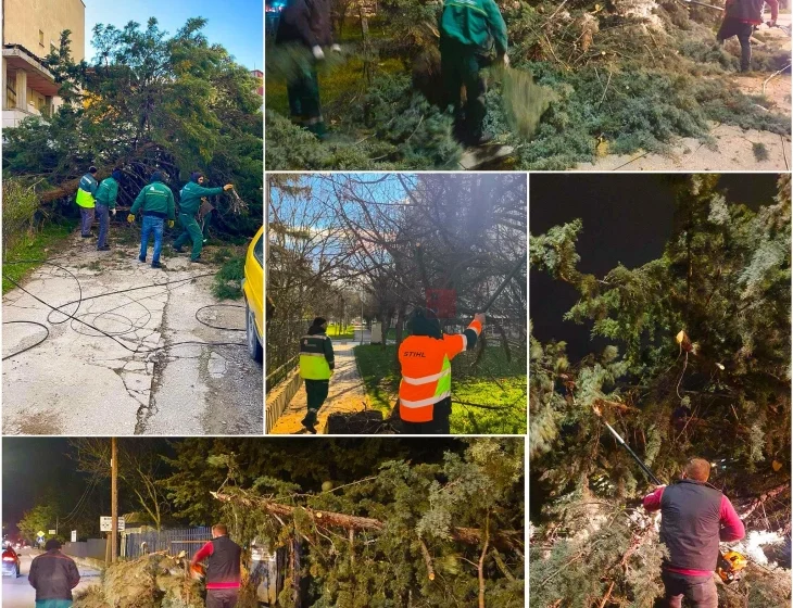  Gjorgjievski: Shërbimet në terren pas motit të keq, apeloj për kujdes