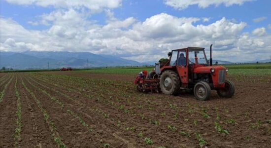 MBPEU: Janë paguar rreth 94 milionë denarë për rreth 2.430 fermerë