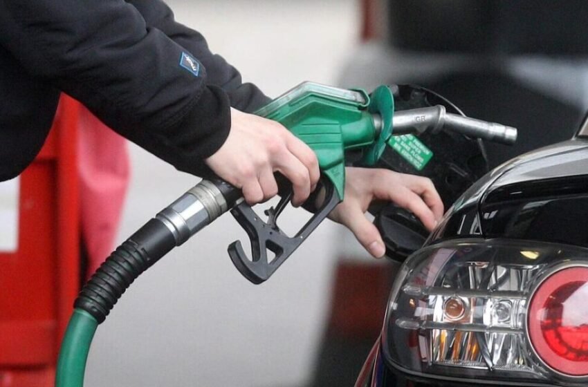  Publikohen çmimet e derivateve për sot dhe nesër