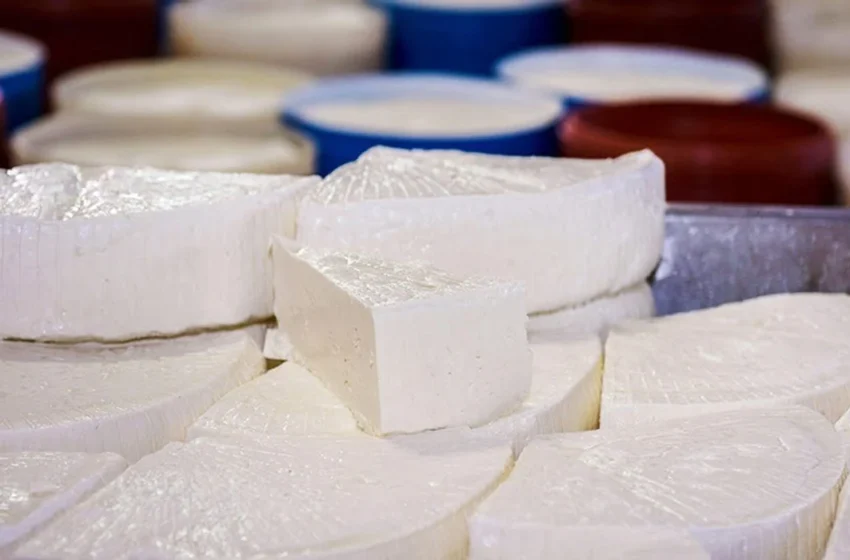  Mashtrim me përmbajtjen e produkteve të qumështit, AUV gjobit disa prodhues dhe importues